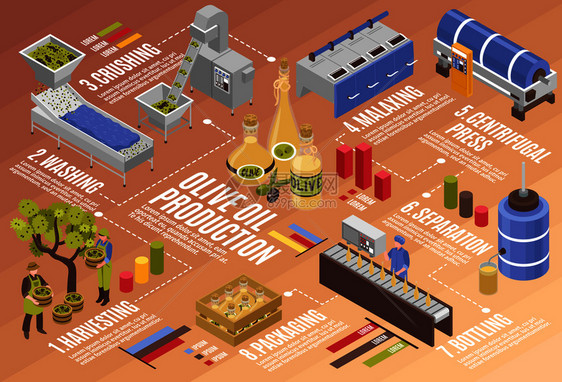 橄榄油生产过程等距信息收获装瓶与离心压榨分离矢量插图橄榄油生产信息图表图片