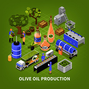 传送橄榄生产工艺等距海报与水果收集运输油提取包装信息图元素绿色背景矢量图橄榄油生产海报插画