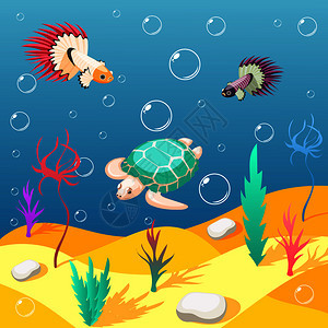 水下世界的居民等距背景与沙海底异国海龟鸟类卡通矢量插图水下世界背景的居民图片