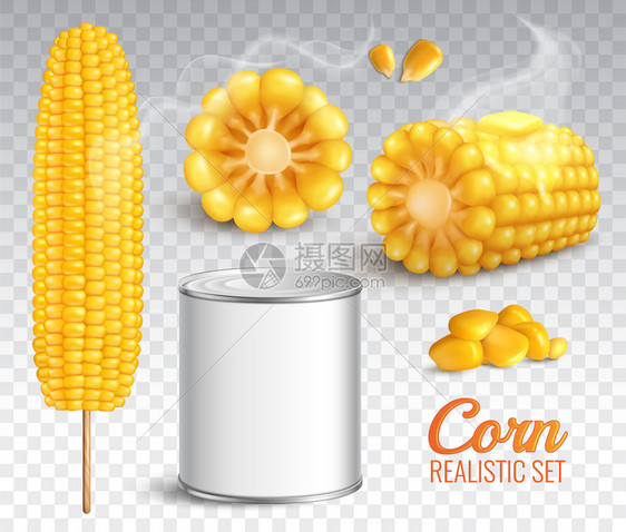 写实玉米玉米芯,谷物,烘焙黄油玉米,罐头产品,透明背景孤立矢量插图逼真的玉米透明套装图片