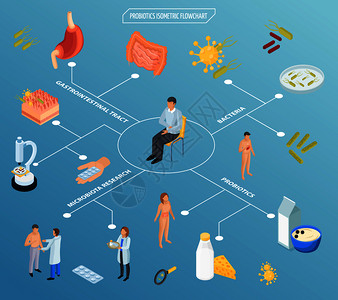 益生菌等距流程图的成与药丸,食品,人体器官的孤立图标病人矢量插图的特点益生菌治疗等距流程图背景图片