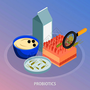 益生菌等距背景成与食物图像的微生物与手透镜文本矢量插图益生菌等距背景成图片