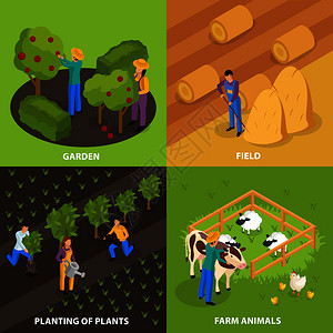 普通农民生活等距2x2与五颜六色的户外成的家庭农场活动矢量插图农民生活理念图片