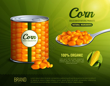 玉米广告构图与自然成分符号现实矢量插图玉米广告构图图片