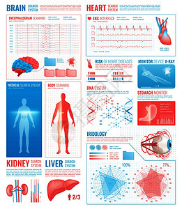 医学界元素与身体扫描,大脑心脏搜索系统符号平孤立矢量插图医疗接口元素图片