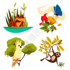 动物丛林与青蛙芦苇,蝴蝶花,鹦鹉树懒矢量插图动物丛林图片