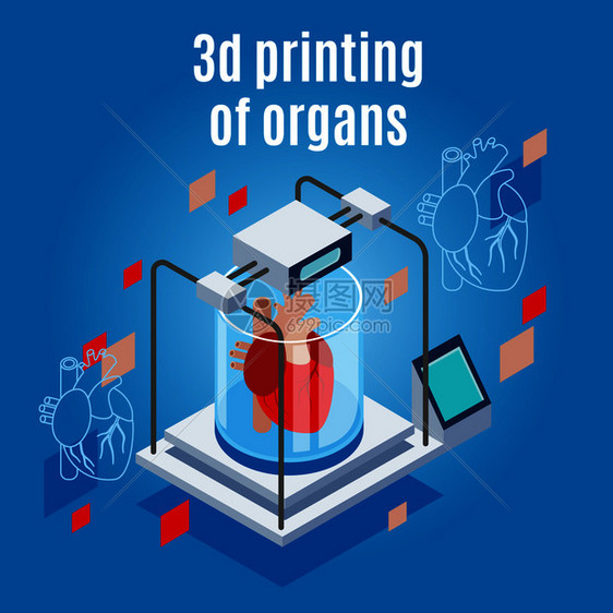 医学的未来等距背景成与现实的3D打印机人类心脏与文本矢量插图器官三维打印背景图片