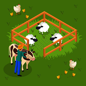 普通农民的生活等距背景与牛农场动物羊圈人的格拥抱牛矢量插图牛养殖等距成图片