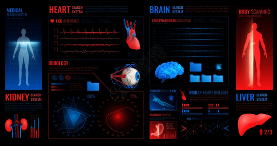 医学暗界元素与脑肾心脏搜索系统符号平孤立矢量插图医学暗界元素图片
