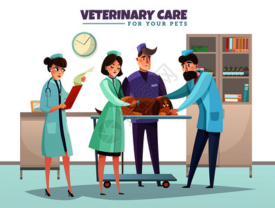 兽医护理插图图片