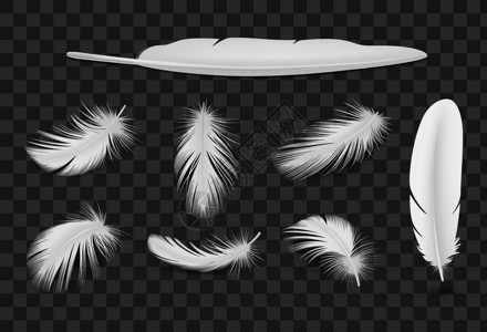 美女三维立体图白色羽毛透明套装插画