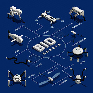 生物机器人等距流程图图片