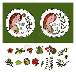 草药化妆品,天然油自然生态化妆品商店的矢量手绘插图生产天然化妆品的大套原料个女孩个橄榄枝的两个章草药化图片