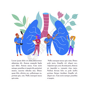 人类的肺微型医生研究治疗大型人类肺医学肺心病的矢量人体器官微型医生研究治疗人体器官医疗保健的矢量背景图片