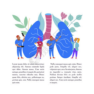 人类的肺微型医生研究治疗大型人类肺医学肺心病的矢量人体器官微型医生研究治疗人体器官医疗保健的矢量图片