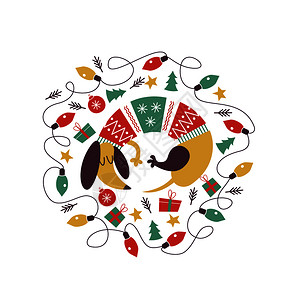 白色毛衣可爱的达奇猎犬穿着件明亮的针毛衣诞作文狗诞装饰品,五颜六