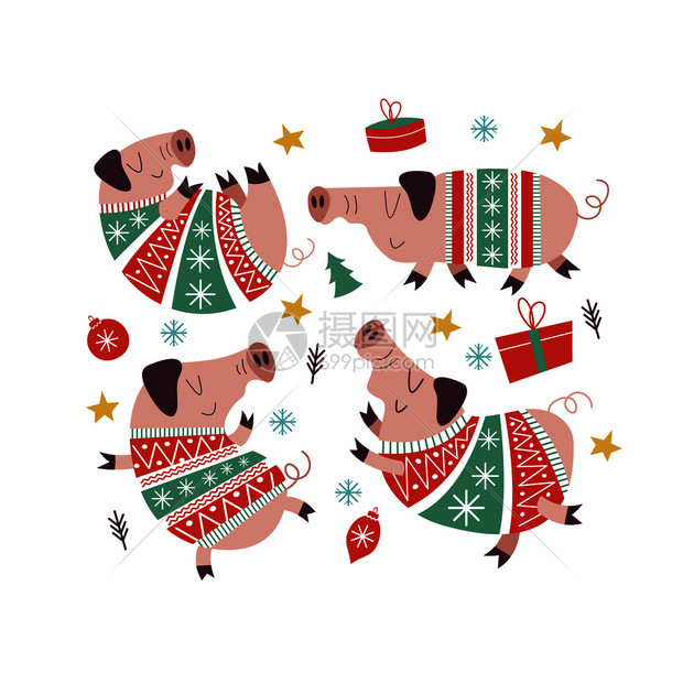 套穿着五颜六色针毛衣的趣的诞猪猪2019的象征矢量插图温暖针毛衣中可爱的卡通动物新插图图片