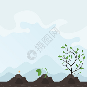 植物的生长阶段矢量插图背景图片