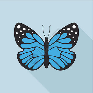 扁平风格的蝴蝶矢量插图图片