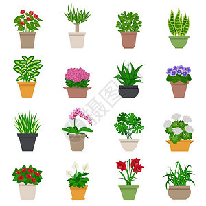 室内植物图标室内植物图标与植物花卉平孤立矢量插图图片
