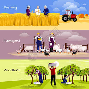 葡萄园农场作物收获平板横幅农民3平水平横幅与农家葡萄园作物收获矢量插图图片