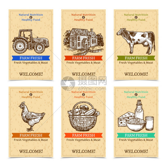 农场标签横幅六个垂直农场标签欢迎横幅与健康食品农场动物拖拉机农舍与纹理米色背景素描手绘孤立矢量插图图片