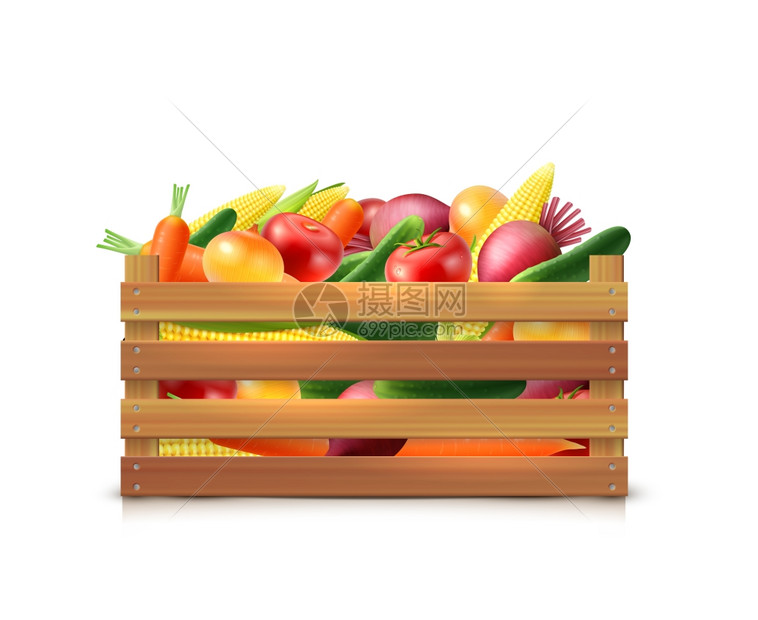 蔬菜收获模板蔬菜收获模板用胡萝卜洋葱黄瓜玉米番茄甜菜木箱中分离矢量插图图片