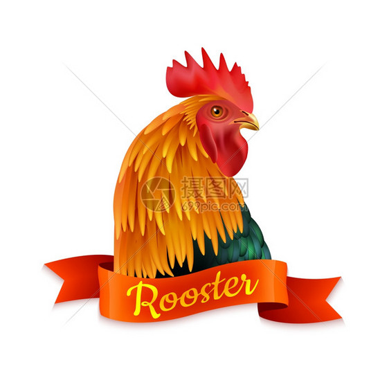红色公鸡头轮廓五颜六色的形象经典的红色乡村公鸡头向边图像彩色图片与丝带文本矢量插图图片