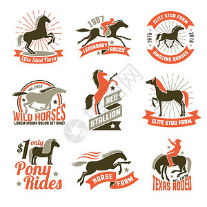 马匹育种标签标志集精英种马场,用于马匹育种赛马会,历史赛马,三种颜色的标志,收集矢量插图背景图片
