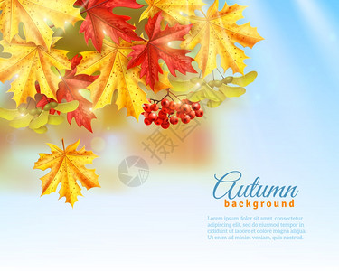 平坦的秋天背景浅蓝色背景与光效阴影彩色秋叶罗湾平矢量插图图片