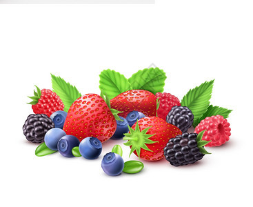 浆果逼真的构图浆果现实成分与草莓覆盆子蓝莓黑莓矢量插图图片