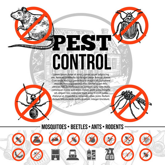 虫害控制信息图害虫防治信息与昆虫老鼠的图标保护手段草图风格的孤立矢量插图图片