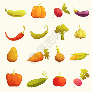 蔬菜图标平复古生态农业生产经典蔬菜图标黄瓜胡萝卜黄瓜辣椒番茄复古孤立矢量插图图片