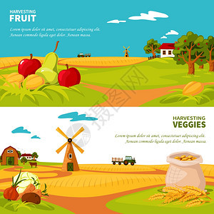 农场横幅平水平横幅美丽的农场景观蔬菜水果收获矢量插图图片
