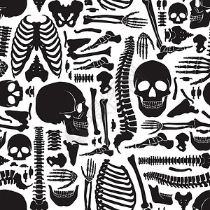 人类骨骼骨架模式单色人体骨骼无缝图案与大头骨各种单骨扁平矢量插图背景图片