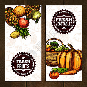 蔬菜水果垂直横幅蔬菜水果垂直横幅与菠萝柠檬梨,苹果,南瓜,胡萝卜,黄瓜番茄矢量插图图片