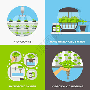 水培平彩色平构图2x2描绘水培系统园艺矢量插图图片