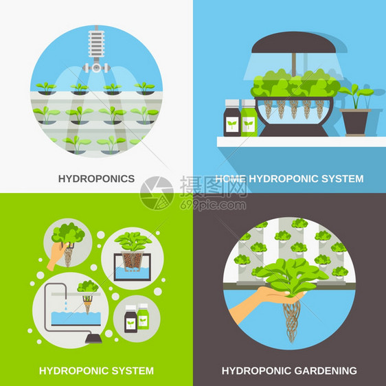 水培平彩色平构图2x2描绘水培系统园艺矢量插图图片