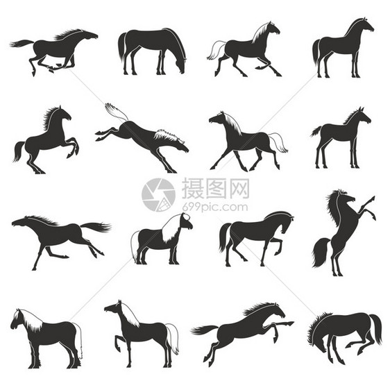 马品种银钩黑色图标黑白最好的马品种轮廓图标收集工作,运动娱乐活动抽象矢量插图图片