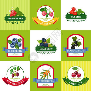新鲜浆果标签平图标野生机种植浆果新鲜浆果标签平图标收集健康饮食分离矢量插图图片