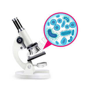白色写实显微镜白色写实显微镜成与科学仪器倍增放大细胞矢量插图图片