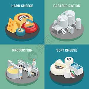 分类模块奶酪生产等距图标软硬奶酪生产4等距图标正方形与巴氏菌过程隔离矢量插图插画