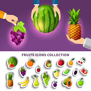 水果图标收集水果图标收集与成西瓜菠萝葡萄手紫色背景孤立矢量插图图片