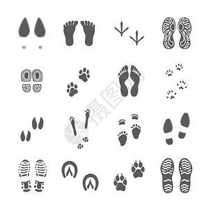 各种脚印都黑色的人类鞋类鞋底印记,鸟类,脚动物爪子,黑色版画,收集白色背景矢量插图背景图片