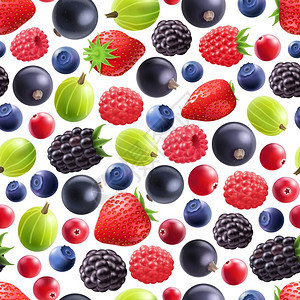 逼真的浆果无缝图案真实的浆果无缝图案与黑色醋栗,覆盆子,草莓,黑莓蓝莓白色背景矢量插图背景图片