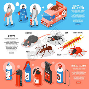 害虫防治等距水平横幅等距三维水平横幅与害虫防治服务人员种类的虫剂害虫分离矢量插图图片