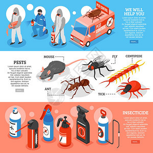 害虫防治等距水平横幅等距三维水平横幅与害虫防治服务人员种类的虫剂害虫分离矢量插图图片