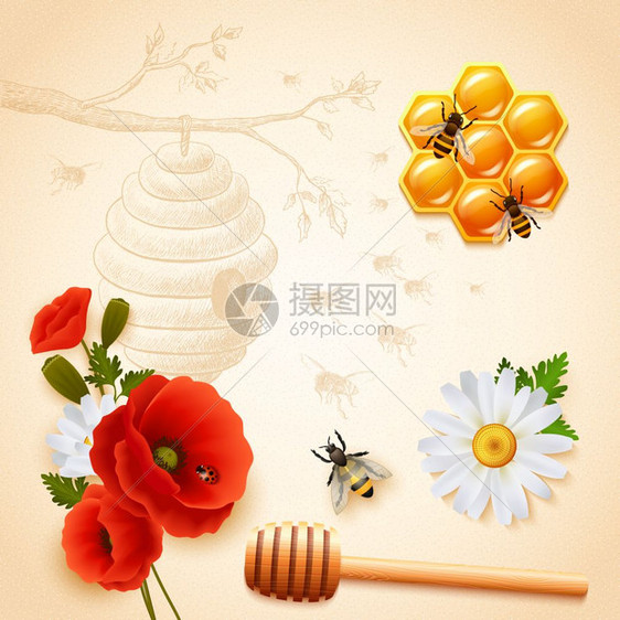 彩色蜂蜜合物彩色蜂蜜成与红花蜂窝蜂窝飞行蜜蜂光背景矢量插图图片