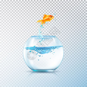 煮鱼水族馆成鱼跳出碗成与现实的水族馆容器金鱼透明的背景矢量插图图片