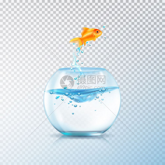 煮鱼水族馆成鱼跳出碗成与现实的水族馆容器金鱼透明的背景矢量插图图片